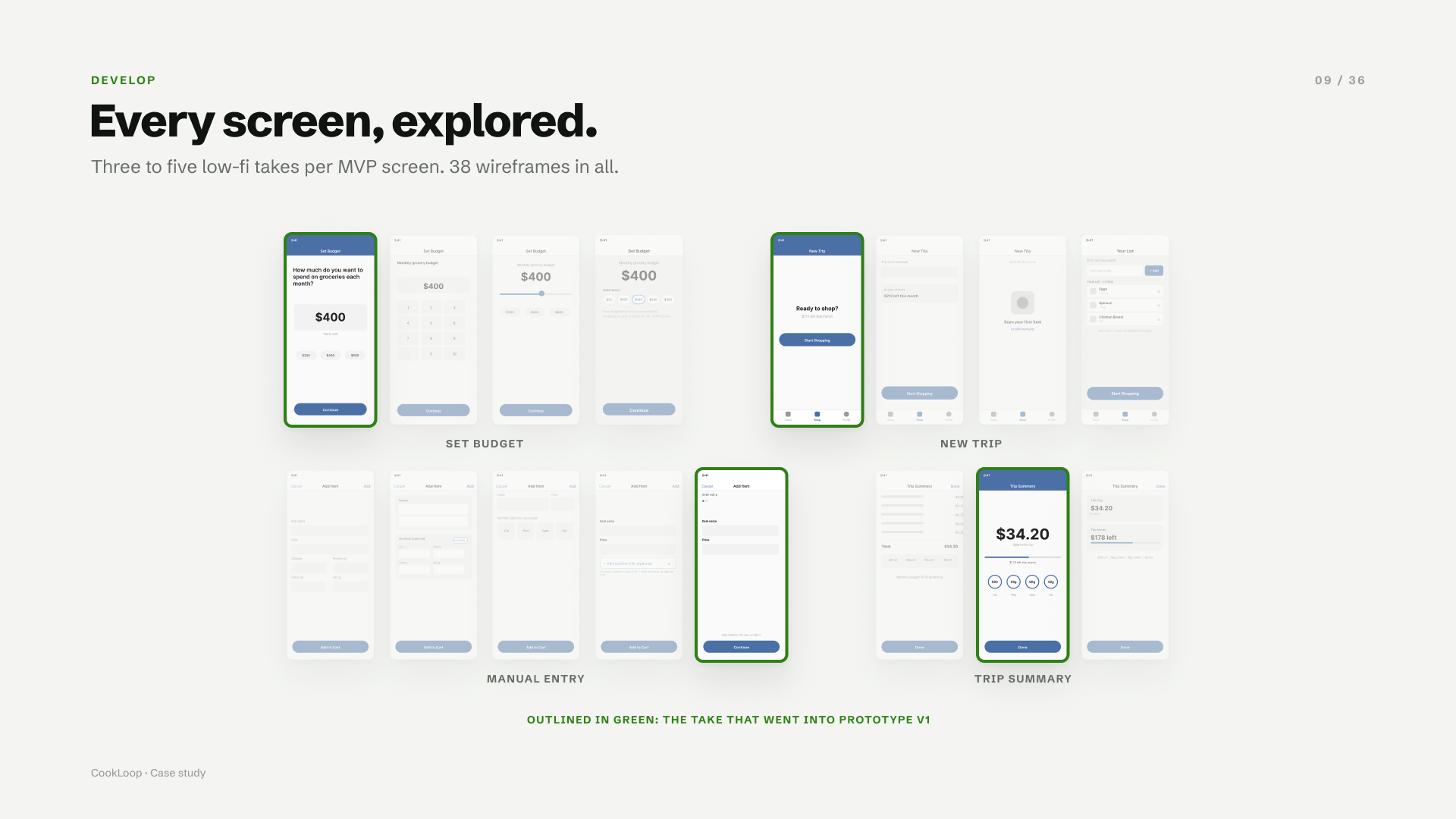 Low-fi wireframes for Set Budget, New Trip, Manual Entry and Trip Summary, with the chosen take outlined in green